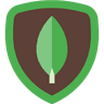 mongodb logo